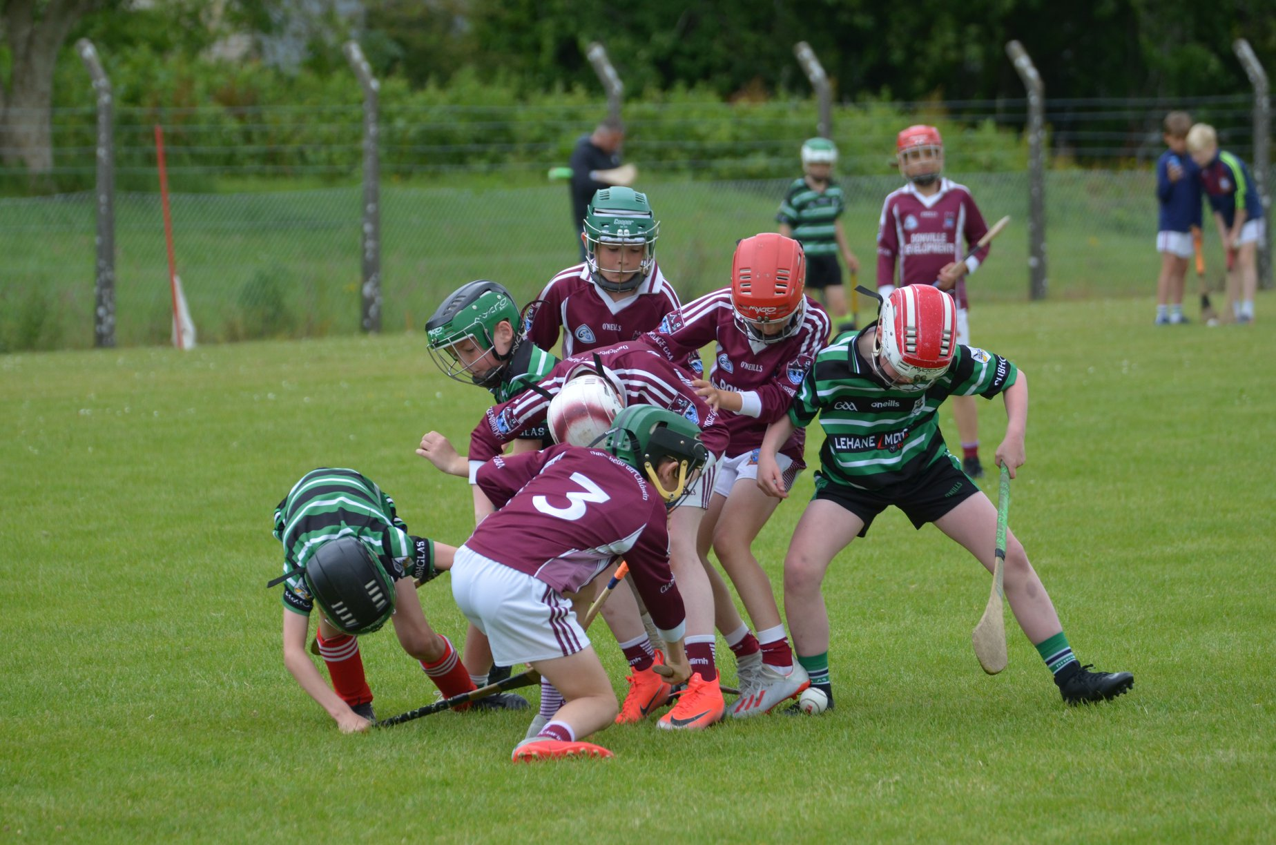 How to bulk verify Clubforce GAA members to Foireann