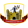 New Club Badges (11)